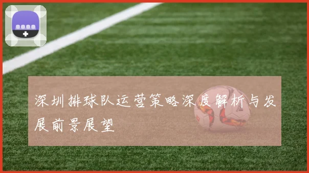 深圳排球队运营策略深度解析与发展前景展望